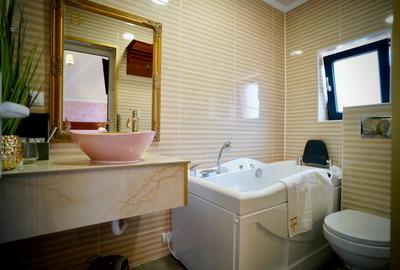 Hotel 5 stele in Hunedoara Investitie Premium la cheie - 19