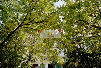 Dr Taberei  Studio+ BOXA -37 mp - Parter Inalt, M Valea Ialomitei 3 minute - 11