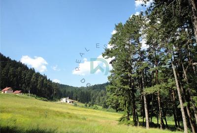 Teren Poiana Angelescu, Sacele, Brasov - 1