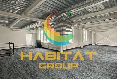 Hale P+1 de închiriat – 100 mp/nivel – utilități complete – zona Turnu Măgurele - 1