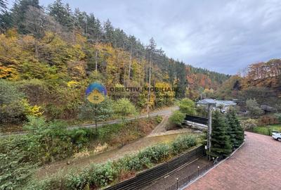 Casa cu posibilitate transformare in pensiune si teren de vanzare Piatra Neamt - 10