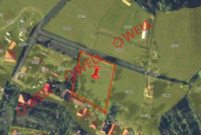 Teren intravilan de vânzare în Sfântu Gheorghe, str. Pădurii - 2