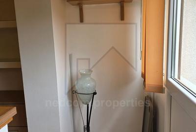 Vanzare apartament 2 camere Lizeanu - 4