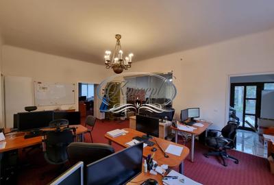 Spatiu de birouri in Vila, zona Andrei Muresanu - 13
