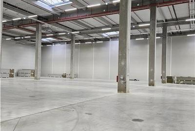 Spatiu Industrial - 4500 mp - Logistica - Productie - Depozitare - 12