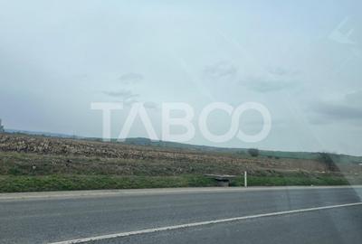 Teren intravilan de vanzare zona industriala nord 19100 mp front 51 m - 3