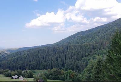 Teren superb extravilan, cu vedere la hotel Matca si muntii Bucegi - 8