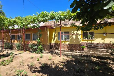 Coiciu - Casa 5 camere (constructie mixta ) + teren 345 mp - 15