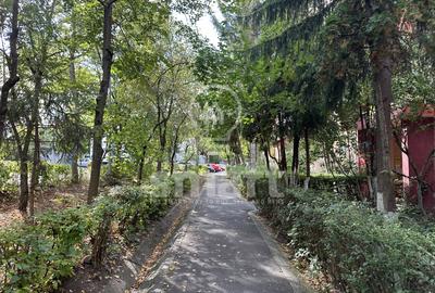 Apartament 3 camere decomandat Zorilor cu parcare - 9