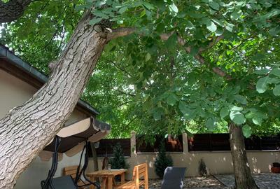 Silistea Snagovului,vila  2012, la cheie,  5 camere+ bucatarie vara, piscina - 44