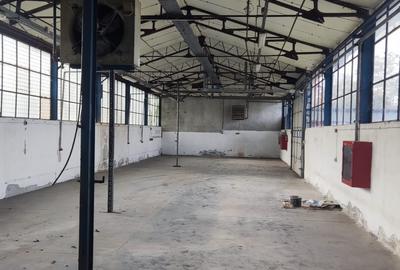 Hale + platforma betonata mp Giurgiului ( Zetari ) - 5