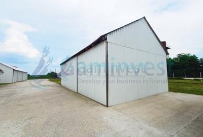 Hala de vanzare cu exclusivitate, la 24 km de Oradea, in Salard, Bihor - 9