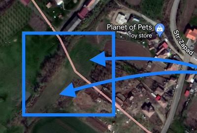 Teren Construcții intravilan de 1964 mp, în Ceuașu de Câmpie