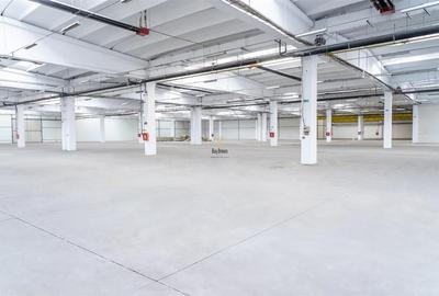 Spatiu Industrial - 4500 mp - Productie - Depozitare - Distributie - 1