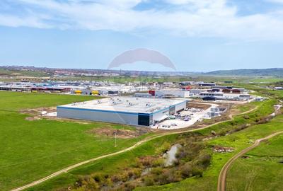 Spațiu industrial de închiriat 1.600mp - 9.000mp în Hală - Iasi (Vest) - 4
