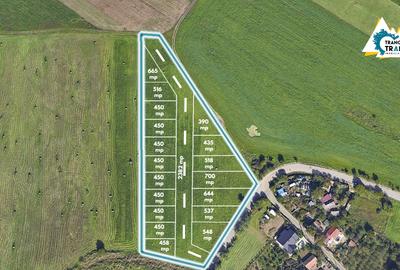 Teren Construcții intravilan de 11500 mp, în Sânnicolau Mic