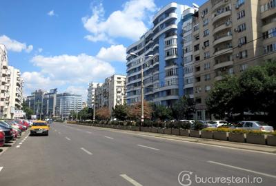 VANZARE SPATIU COMERCIAL BD. OCTAVIAN GOGA, INCHIRIAT, PENTRU INVESTITIE - 1