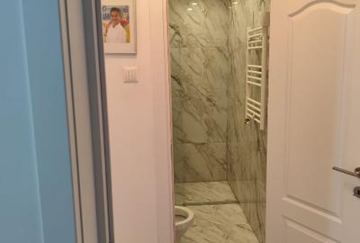 Drumul Taberei - Raul Doamnei - 5 minute metrou - Apartament 3 camere  RENOVAT - 19