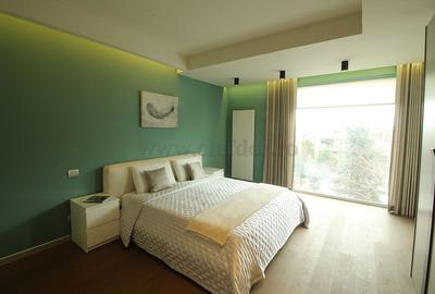 Iancu Nicolae-British School duplex  - 3 dormitoare - 13