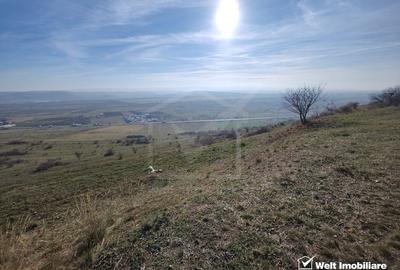 Teren zona Colonia Hodai, 10320 mp, Utr - TDA-L, terasat, acces auto - 2