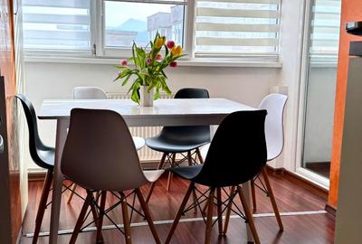 Vanzare apartament Grivitei mobilat - 8