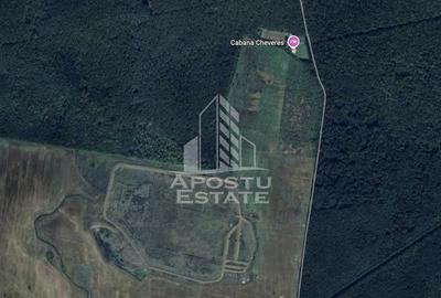 Teren 27000 mp, ideal centru seniori,liziera padurii, Cheveresul Mare. - 1