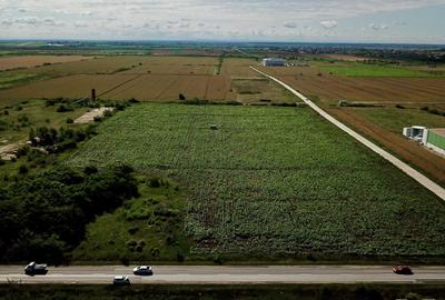 Teren Construcții extravilan de 2596 mp, în Giarmata