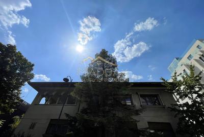 4 rooms ***203 SQM useful*** / 38 SQM terrace + garage / Primaverii - 40