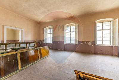 Conac aristocratic secolul XIX , domeniu  2,5 hectare — Păuliș, Arad - 8