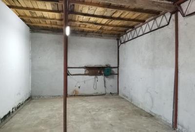 Vila S+P+1 teren=1438 mp, 367mp construiti Varsatura - 38
