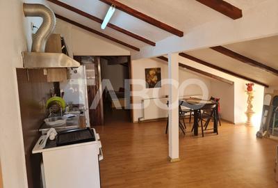 Casa de vanzare in Sebes langa lac - 9