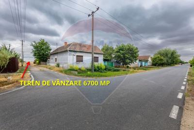 Teren de vânzare cu potențial construibil 6,700mp Variasu Mare - 1