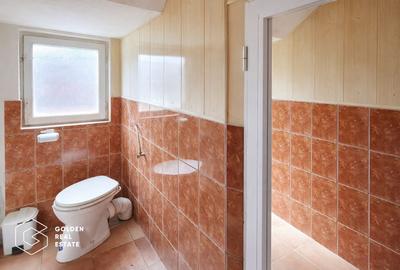 Spatiu comercial, 61 mp, Lipova - 6