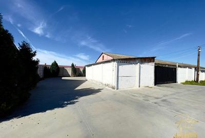 Hala cu birouri - 570 mp,  de inchiriat in Palota - Bihor - 1