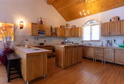 Exclusivitate! Colt de Rai: Casa arhitectura deosebita, cu acces direct la rau, - 9