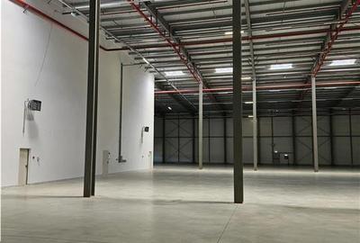 Spatiu Industrial - 5000 mp - Logistica - Productie - Depozitare - Distributie - 16