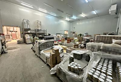 Spațiu industrial, de 790.00 mp, în Nufărul