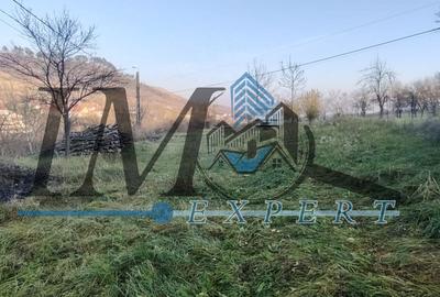 Teren intravilan în Paclisa 1785mp. - 4