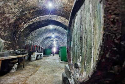 Investiție rară în Bihor - 16