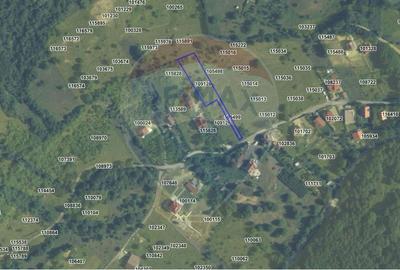 Teren 1,697mp Cisnadioara / Strada Silvicultorilor - 1