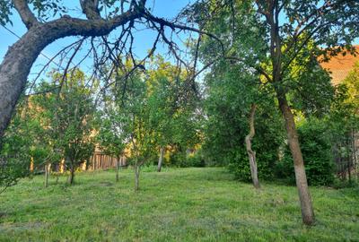Casa 3 camere libera la vanzare TARLUNGENI - 14