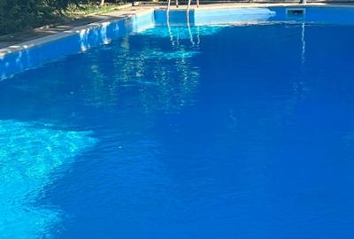 Vila lac Buftea - 15
