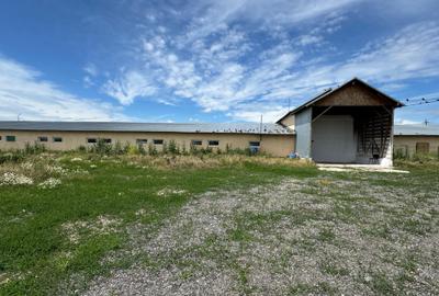 Ferma de vanzare Vitanesti Teleorman - 4