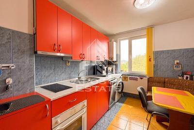 Apartament cu 2 camere, decomandat, renovat, zona McDonalds, Hunedoara - 7
