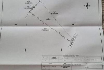 Teren intravilan 4521mp lângă pădure-valea Doftanei -Calea Brasovului - 15