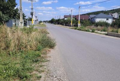 Teren Construcții intravilan de 10000 mp, în Tomești