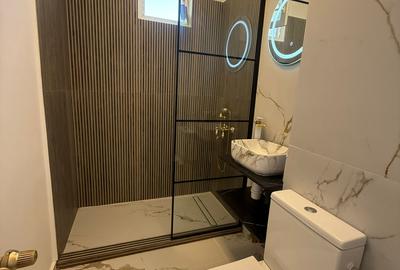 Vanzare Apartament 2 camere Renovat Drumul Taberei-Raul Doamnei - 16