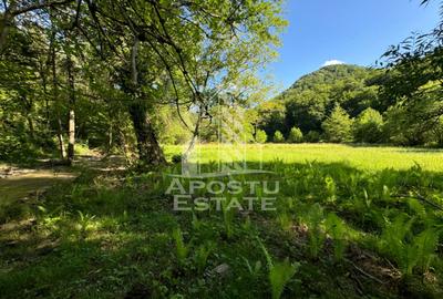 Teren de vanzare pe marginea raului, 1300mp, in Gros, Hunedoara - 7