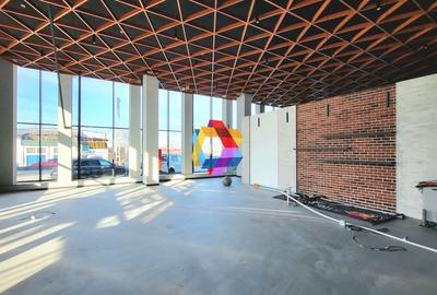 Spatiu  comercial - Showroom - 780 mp #plus-imo.ro - 8