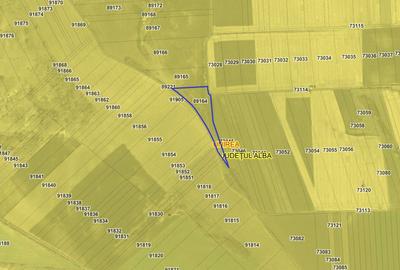 Teren de vanzare - 1